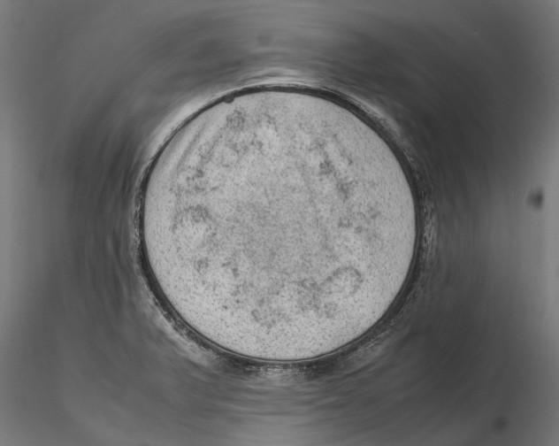 X0000115581375200912081016