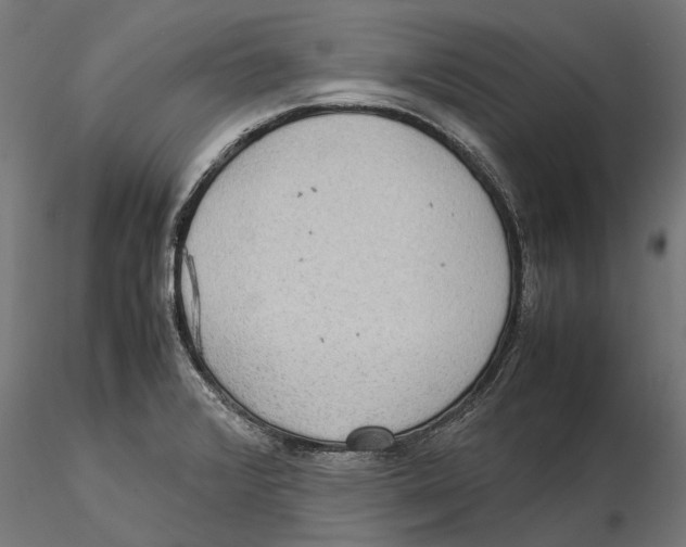 X0000115581376200912081016