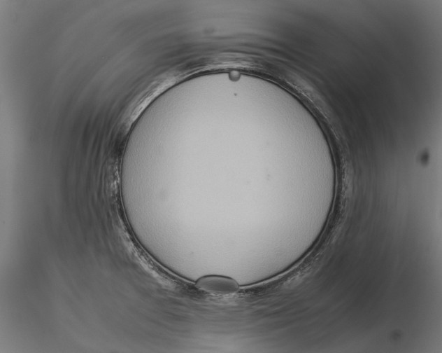 X0000115581377200912081016