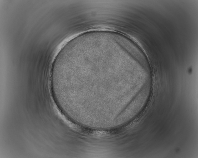 X0000115581379200912081015