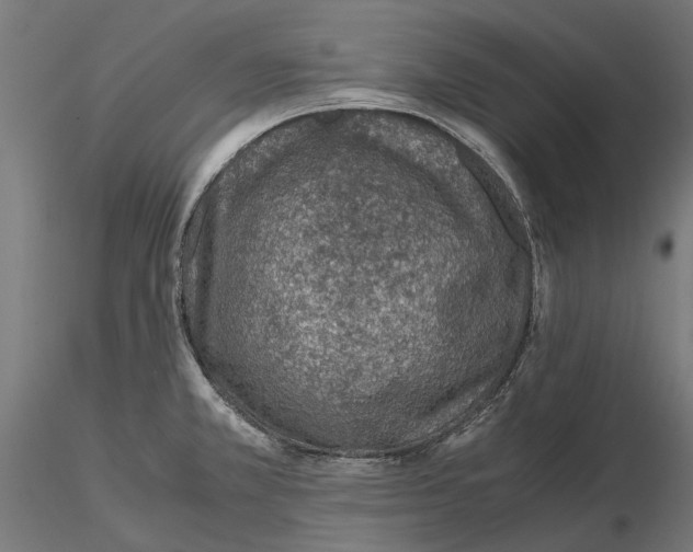 X0000115581381200912081015