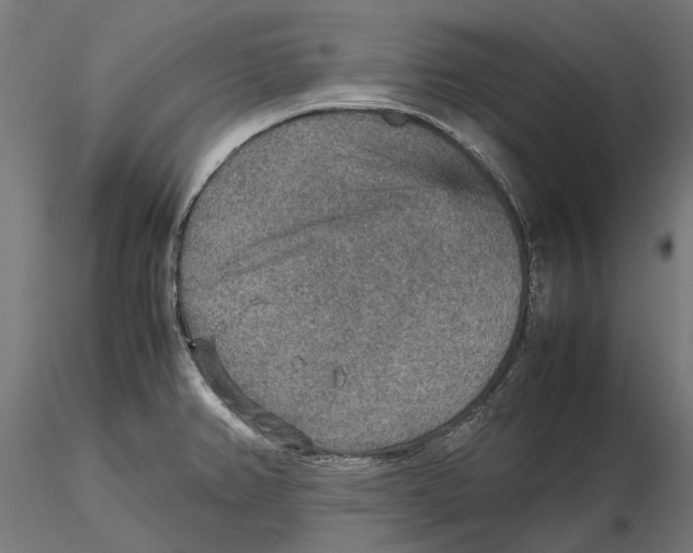 X0000115581382200912081015