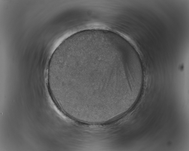 X0000115581383200912081015