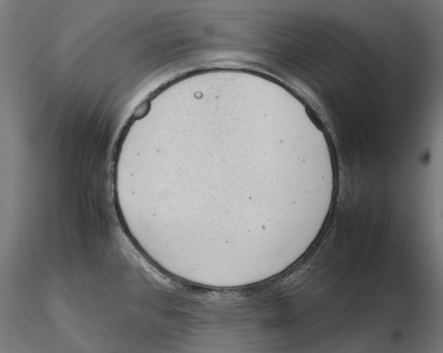 X0000115581384200912081015