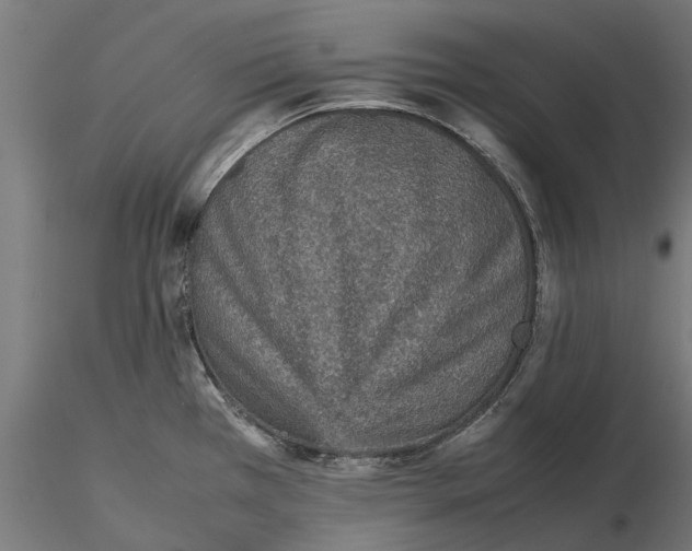 X0000115581385200912081015