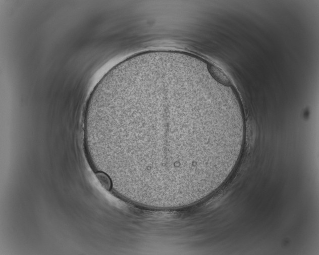 X0000115581387200912081015