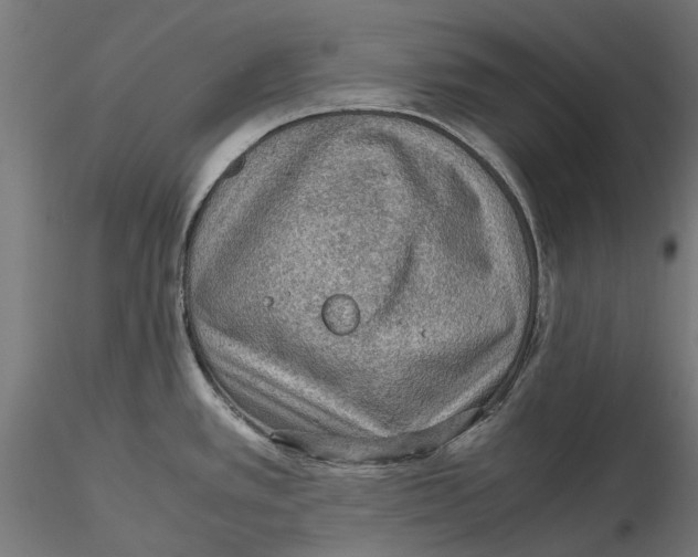 X0000115581389200912081015