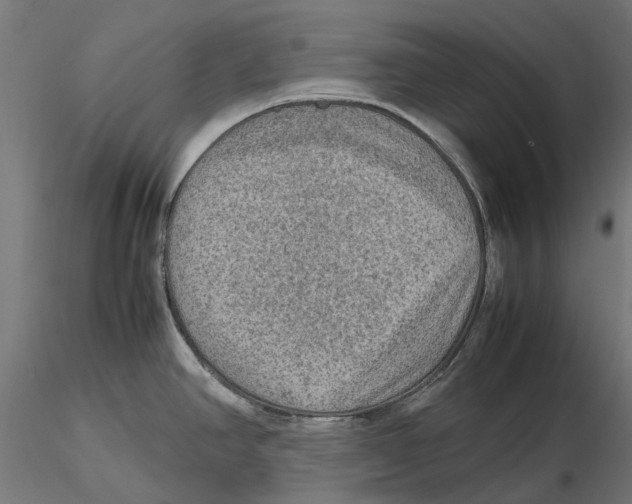 X0000115581390200912081015