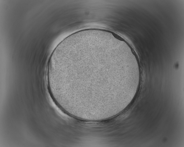 X0000115581391200912081015