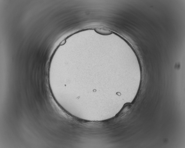 X0000115581392200912081015