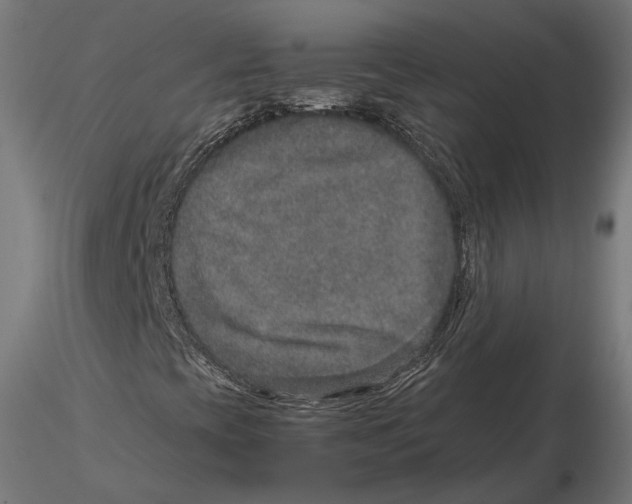 X0000115581393200912081015