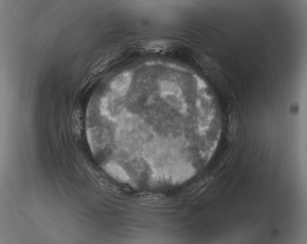 X0000115581394200912081015