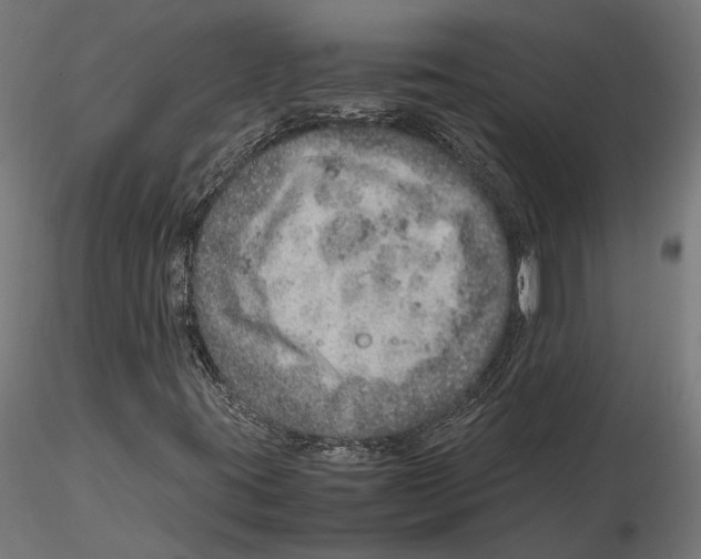 X0000115581395200912081015