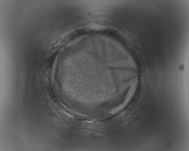 X0000115581397200912081015