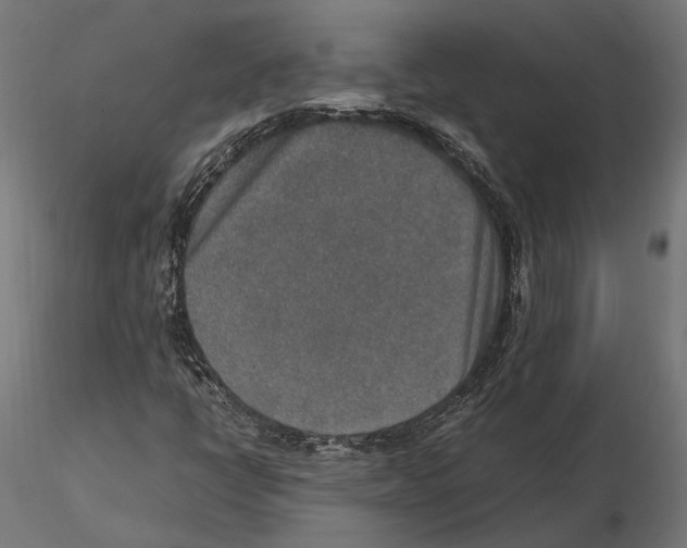 X0000115581398200912081015