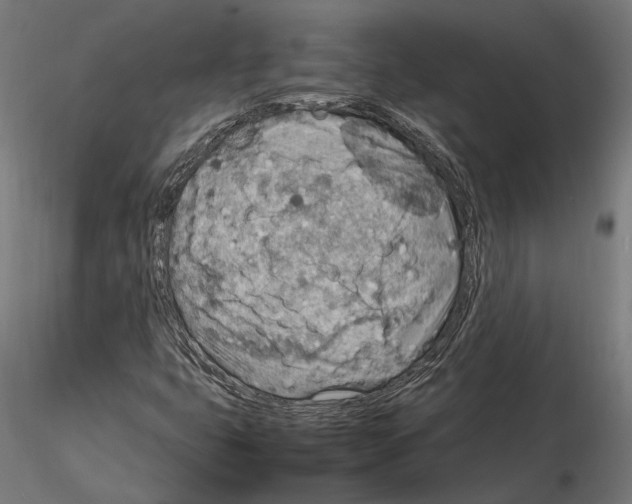 X0000115581399200912081015