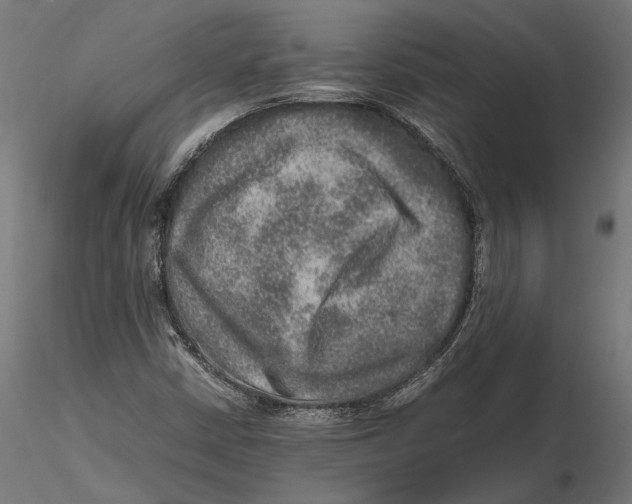 X0000115581402200912081015