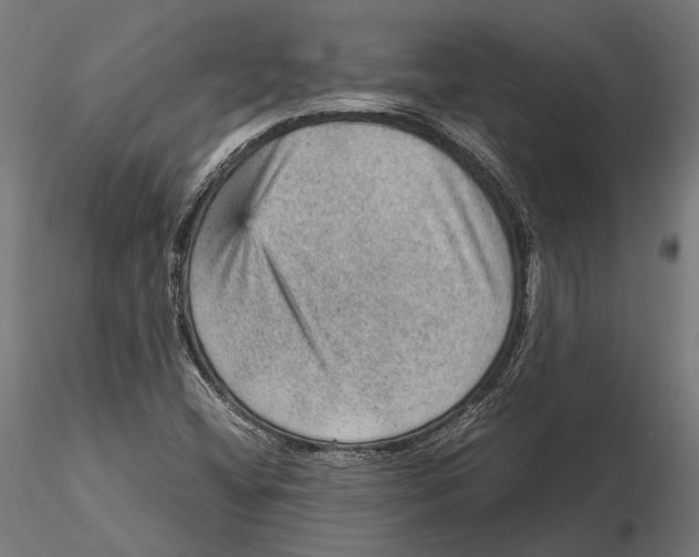 X0000115581404200912081015