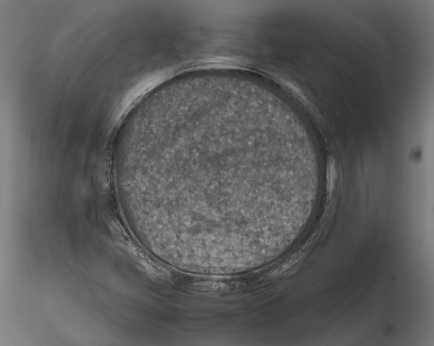 X0000115581405200912081015