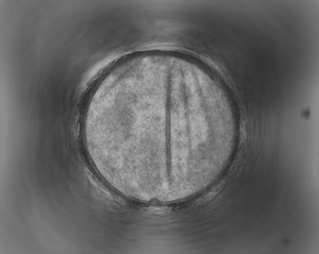 X0000115581406200912081015