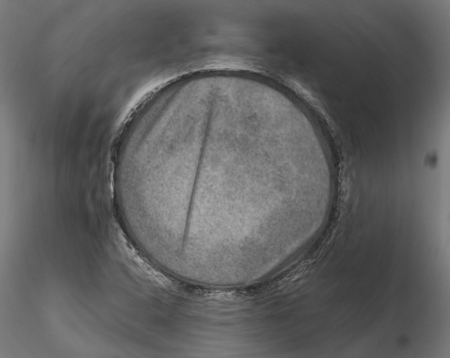 X0000115581408200912081015