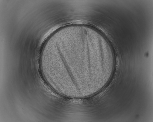 X0000115581410200912081015