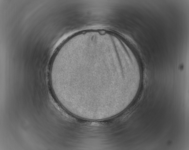 X0000115581412200912081015