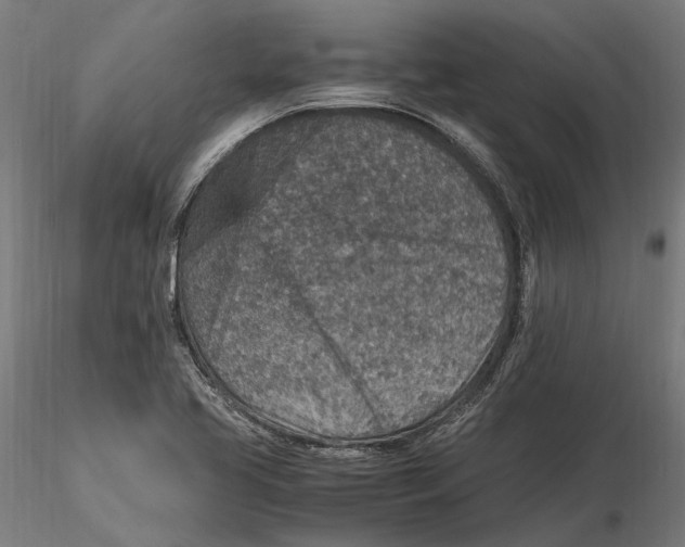 X0000115581413200912081015