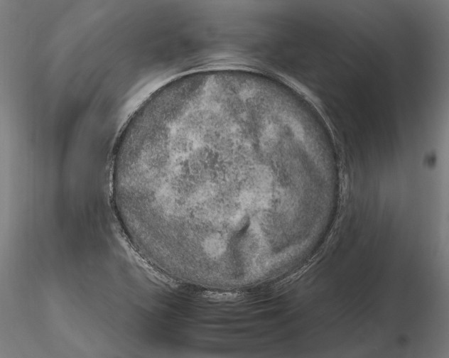 X0000115581415200912081015