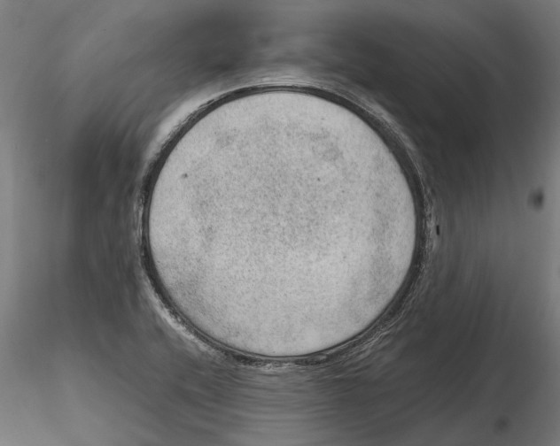 X0000115581416200912081015