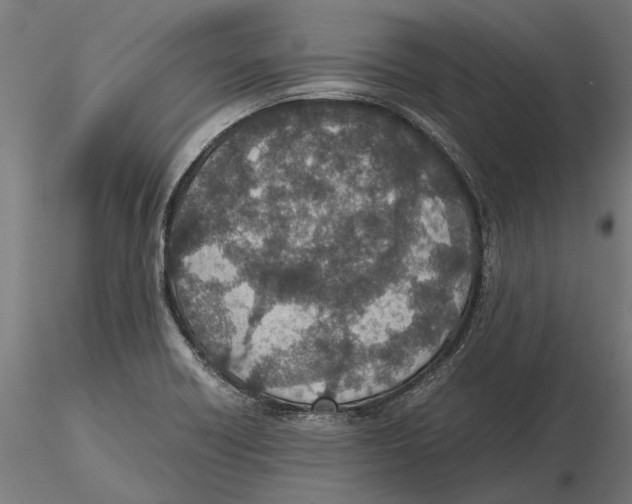 X0000115581418200912081015