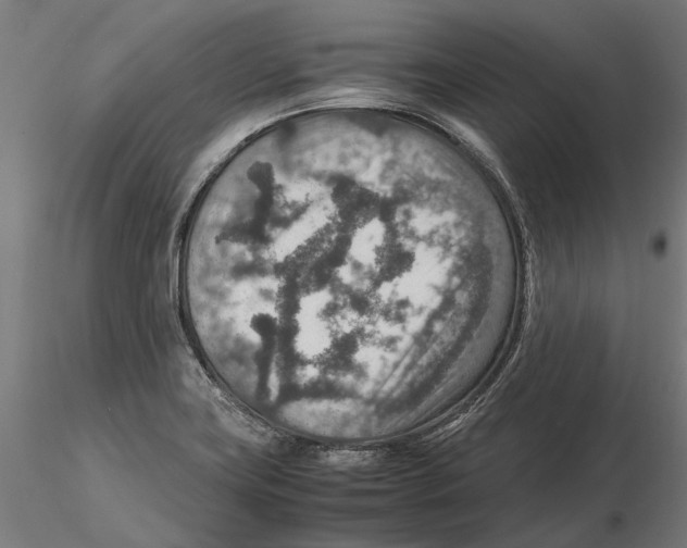 X0000115581419200912081015