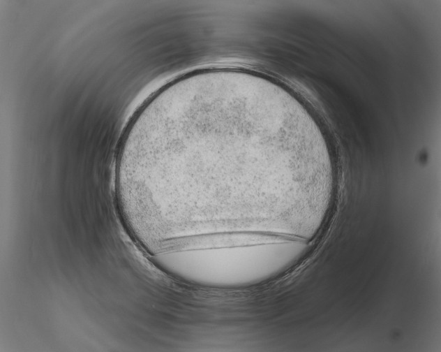 X0000115581420200912081015