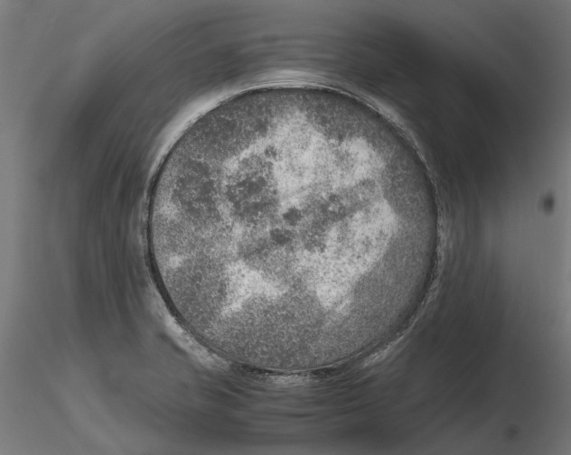 X0000115581421200912081015