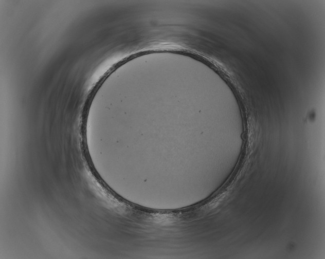 X0000115581422200912081015