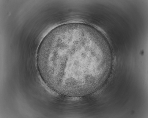 X0000115581423200912081015