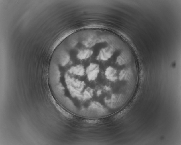 X0000115581425200912081015