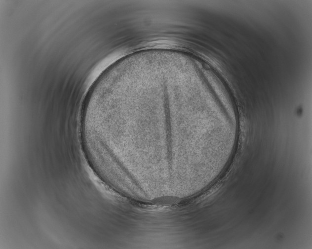 X0000115581426200912081015