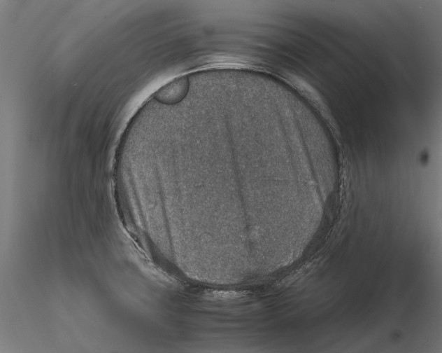 X0000115581427200912081015