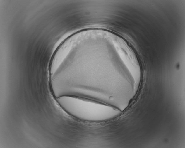 X0000115581428200912081015