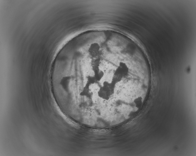 X0000115581429200912081015