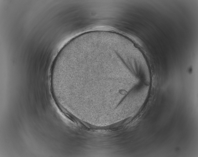 X0000115581430200912081015