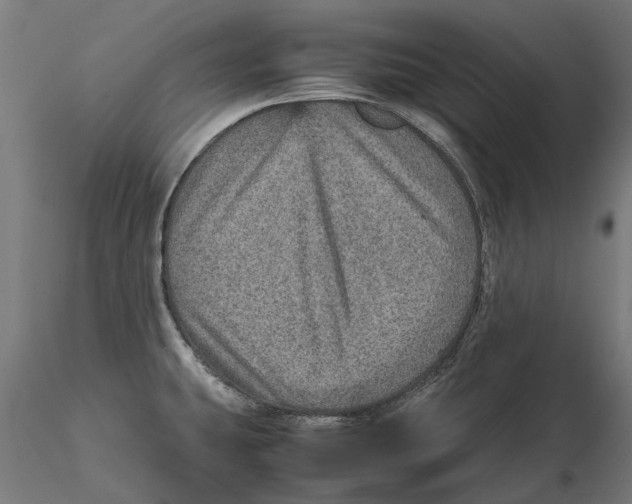 X0000115581431200912081015