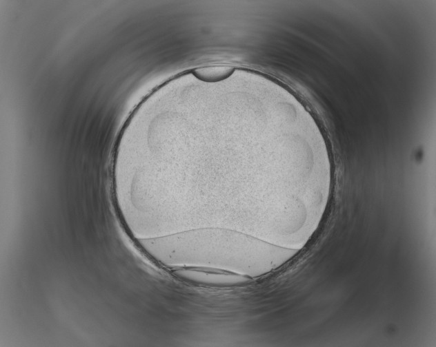 X0000115581432200912081015