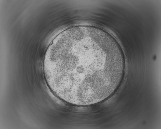 X0000115581433200912081015