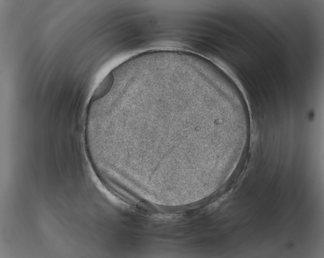 X0000115581437200912081015