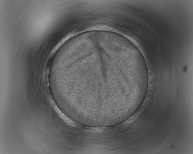 X0000115581438200912081015