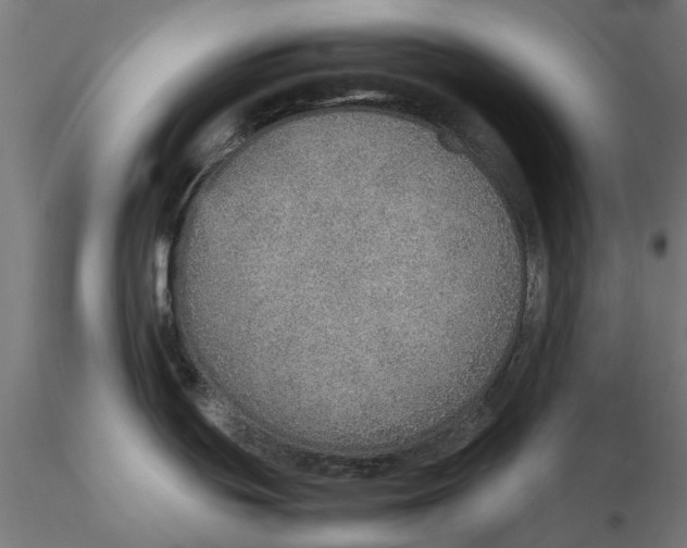 X0000115581439200912081015