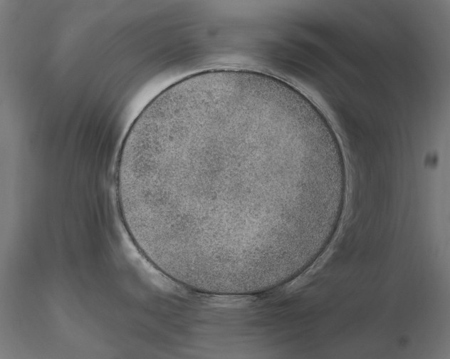 X0000115581440200912081015