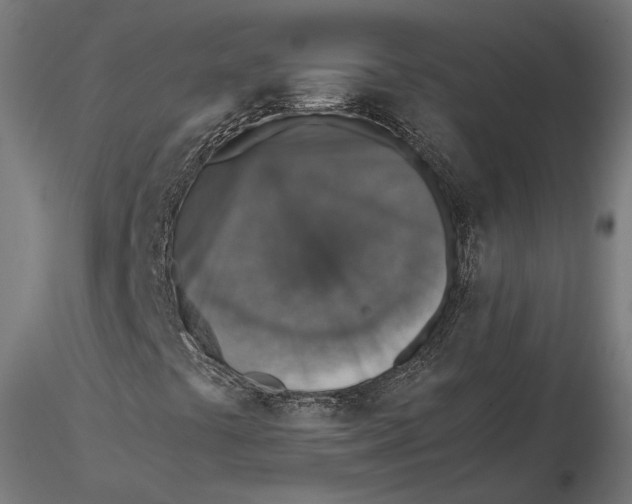 X0000115581441200912081015